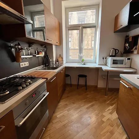 Spacious Downtown Apartment