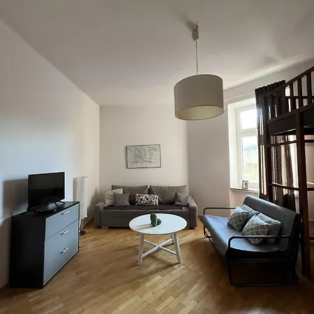 Spacious Downtown Apartment