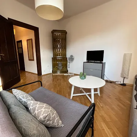 Spacious Downtown *